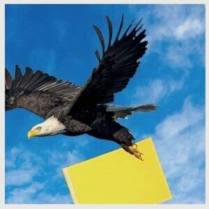 Ten 14.5"X10.5" (#4), Yellow Kraft Bubble Mailer